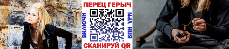ГЕРОИН хмурый Ветлуга