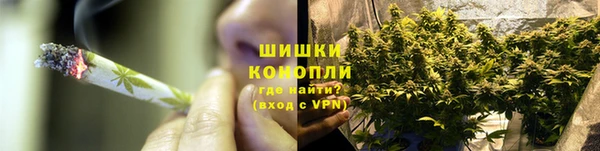дурь Алзамай