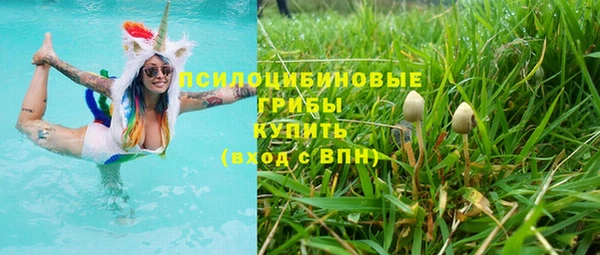 дурь Алзамай