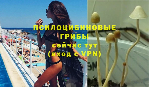 ешки Алексин