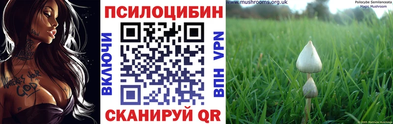 Псилоцибиновые грибы прущие грибы  как найти   Ветлуга 